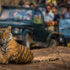 Golden Triangle Tour With Ranthambore By The Taj In India Company