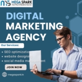 Elevating Your Businesses with Megaspark the Best Digital Marketing Agency in Noida