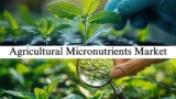 Agricultural Micronutrients Market Future Trends Analysis, Growth Factors, Demand, and Share Forecast to 2032