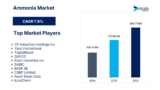 Ammonia Market to Reach USD 308.71 Billion by 2033 – Surge in Green Technologies and Agricultural Demand Drives Growth