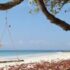Andaman Tour Packages from Hyderabad