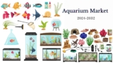 Aquarium Market Size, Share, Growth Drivers, Trends, and Opportunities Forecast to 2032
