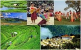 Assam Honeymoon Packages