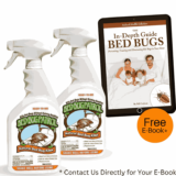 Hot Steamers for Bed Bugs: A Powerful Weapon in Your Arsenal | Bed Bug Store