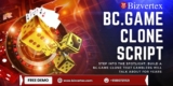 Step Into the Spotlight: Build a BC.Game Clone That Gamblers Will Talk About for Years