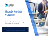 Beach Hotels Market Insights: Competitive Strategies, Innovations, and Industry Dynamics