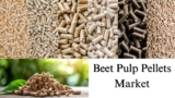 Beet Pulp Pellets Market Size, Share, Growth Analysis and Forecast to 2028