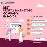 Beat Your Competitors with the Best Digital Marketing Company in Noida