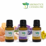 Best Essential Oils for Skin Care During Winter