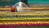 Best Time To Visit Kashmir