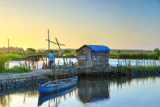 Luxury & Budget-Friendly South Kerala Tour Packages