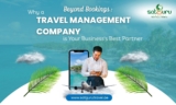 Beyond Bookings: Why a Travel Management Company is Your Business’s Best Partner