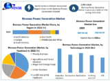 Biomass Power Generation Market Demand Surge and Industry Outlook (2024-2030)