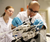 Biomedical Engineering: A Handbook for Learning, Employment, and Development