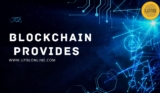 Blockchain Services and Blockchain Provides: Transforming Digital Systems
