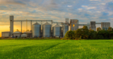 Bluecraft Agro: Your Premier Choice for Maize Starch Manufacturers in Gujarat