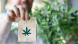 Buy Medical Marijuana Online: A Convenient and Safe Option