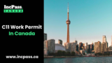 C11 Work Permit vs. Other Canadian Work Permits: Which Is Right for You?