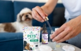 How CBD Can Help Manage Separation Anxiety in Dogs?