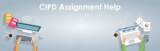 Why Choosing the Best CIPD Assignment Help Can Transform Your Academic Performance
