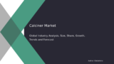 Calciner Market Growth Analysis: Global Trends