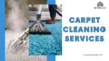 Keep Your Home Fresh: The Ultimate Guide to Carpet Cleaning Services
