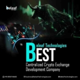 Unlocking Potential: The Key Benefits of Centralized Crypto Exchange Development