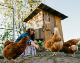 Quality Of Life: 5 Ideal Pets to Have at Your Home