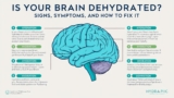 Is Your Brain Dehydrated and Scientifically Proven Solutions