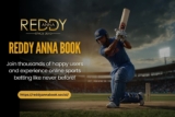 Top 7 Reasons to Choose Reddy Anna Book for Online Sports Betting