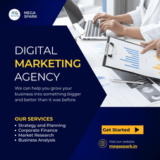 MEGA SPARK: Crafting Bright Futures in Digital Marketing