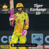 By 2024, Diamond Exchange ID Will Be India’s Leading Online Betting Platform.