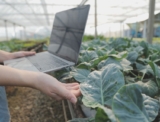 Global Digital Agriculture Market Size, Share, Demand and Growth 2031