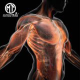 Do You Need to Take Protein Powder If You’re Serious About Fitness?