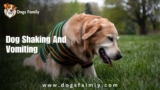Dog Shaking And Vomiting