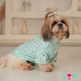 Explore Stylish and Soft Dog Clothes for Every Occasion