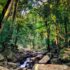 Coorg Family Tour