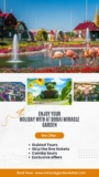 Top Experiences I Had While Visiting Dubai Miracle Garden