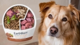 Earthborn Dog Food-Safe and Nutritious