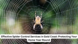 Effective Spider Control Services in Gold Coast: Protecting Your Home Year-Round