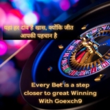 Online Cricket ID at Cricket ID Book For a New Way to Bet Securely