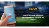 Reddy Anna Book: Experience Non-Stop Live Sports Betting and Win Big Prizes!