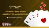 Experience Real Rummy Gameplay on Mahadev Book