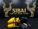Family Muay Thai Classes: A Fun Way to Stay Fit Together