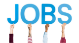 Discover Top Jobs in Startups in India on Salarite