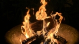 Fire Pits Made of Stainless Steel: Are They Worth It?