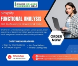 Don’t Let Functional Analysis Pull You Down—We’ve Got Your Back!