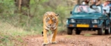 Golden Triangle Tour by Car with Ranthambore by Perfect India Trip Company.