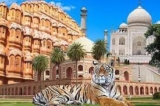 Golden triangle tour with Ranthambore by Taj Mirror Tour Company