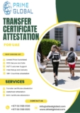 Certified School Transfer Certificate Attestation Services in UAE